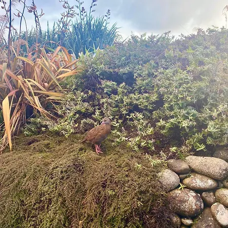 Wild Weka Eco Stay - Off-Grid 4Wd Recommended Waimarie Exterior photo
